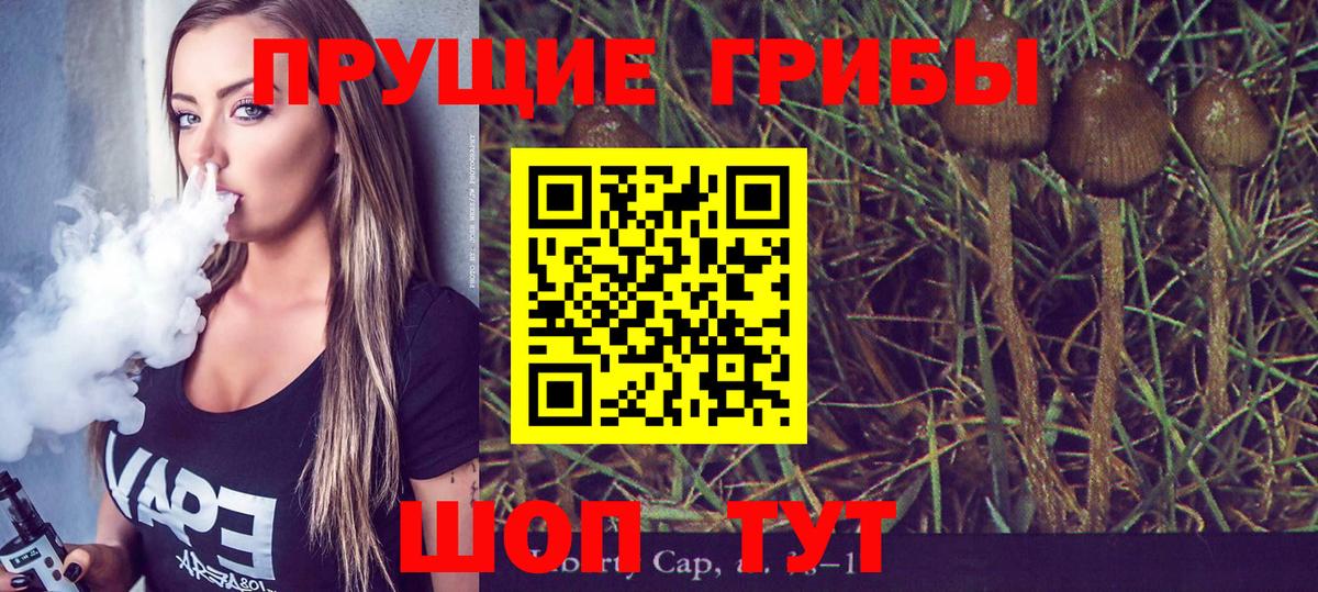 Галлюциногенные грибы Psilocybine cubensis Лабытнанги